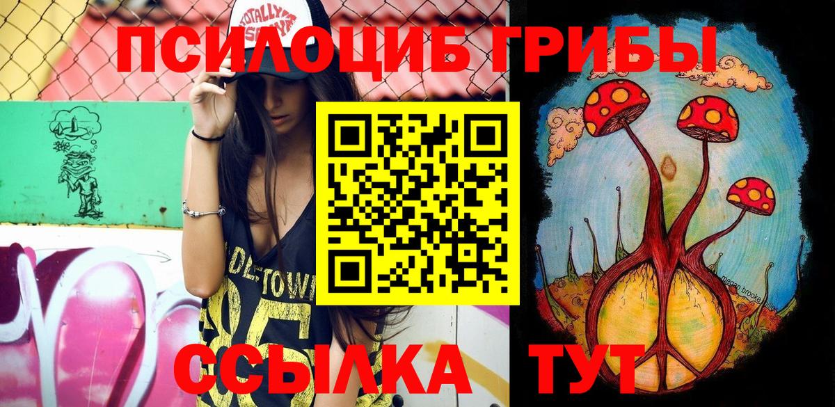 Псилоцибиновые грибы мицелий Гуково